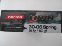 3006Odin (1)